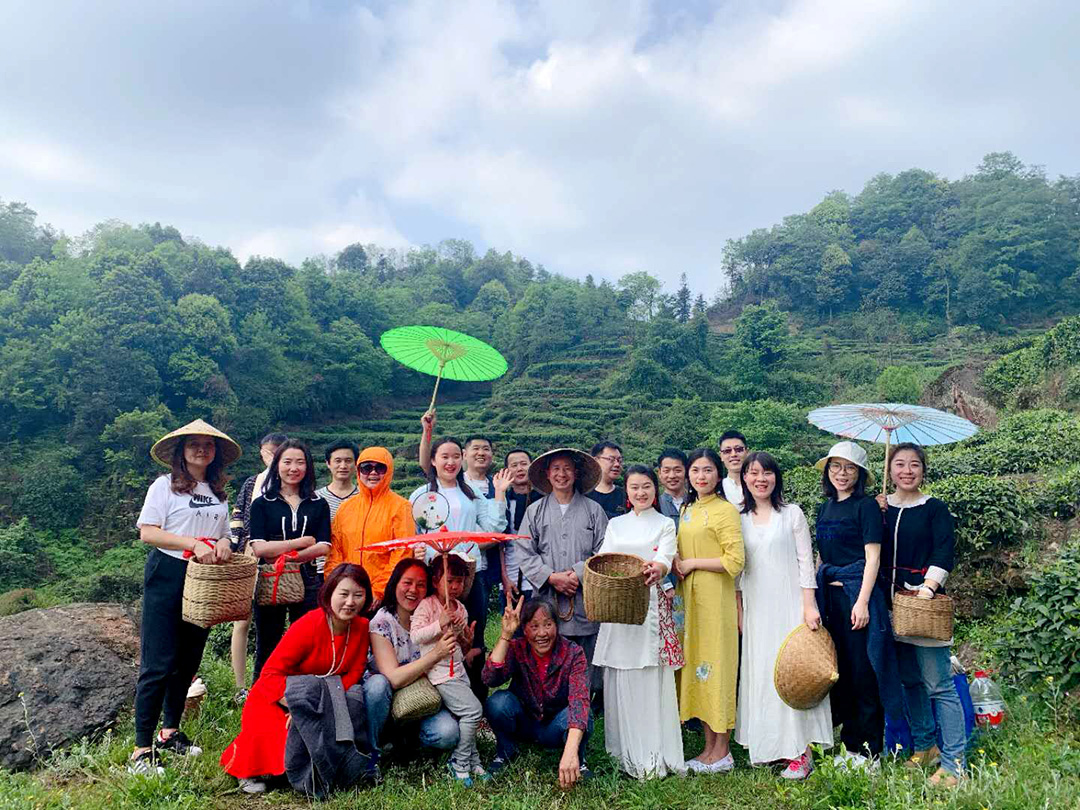 寻茶之旅｜天目贡茶第2期采茶制茶游学活动