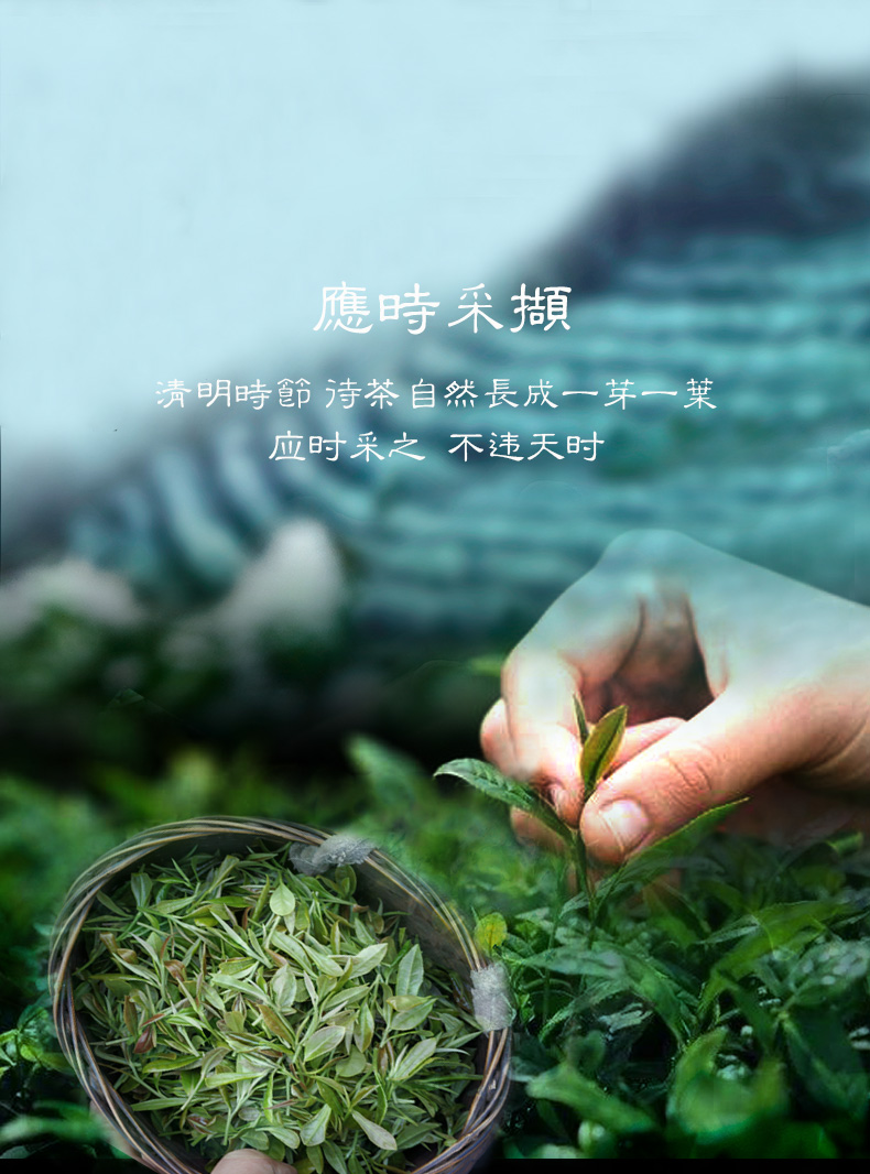 豌豆